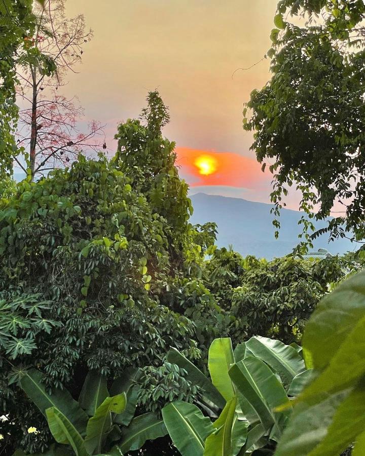 Babinda Quarters Hotel Luaran gambar