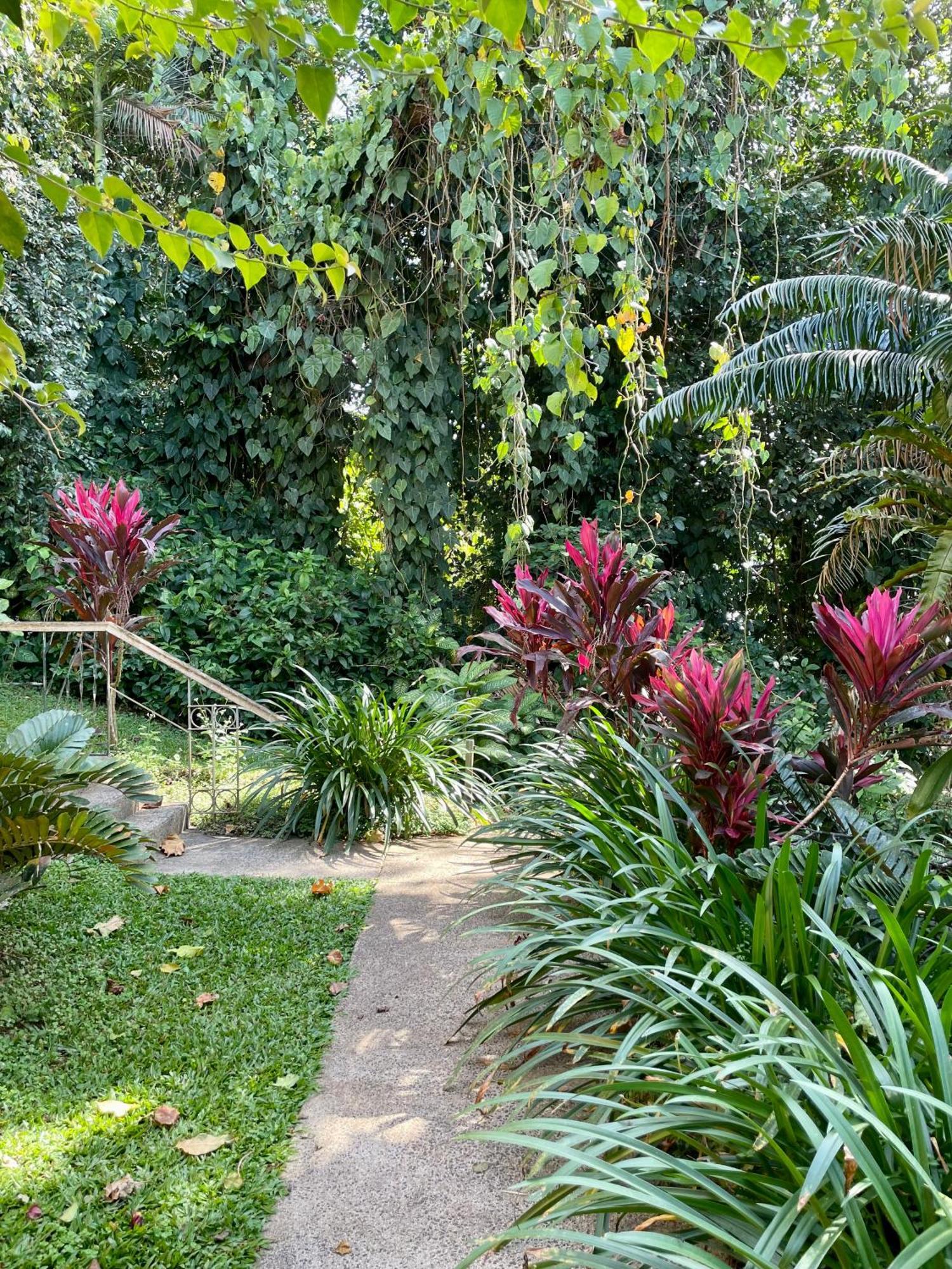 Babinda Quarters Hotel Luaran gambar
