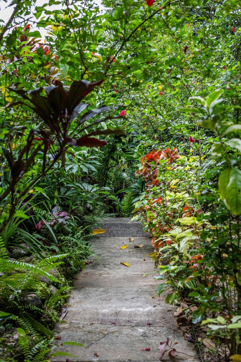 Babinda Quarters Hotel Luaran gambar