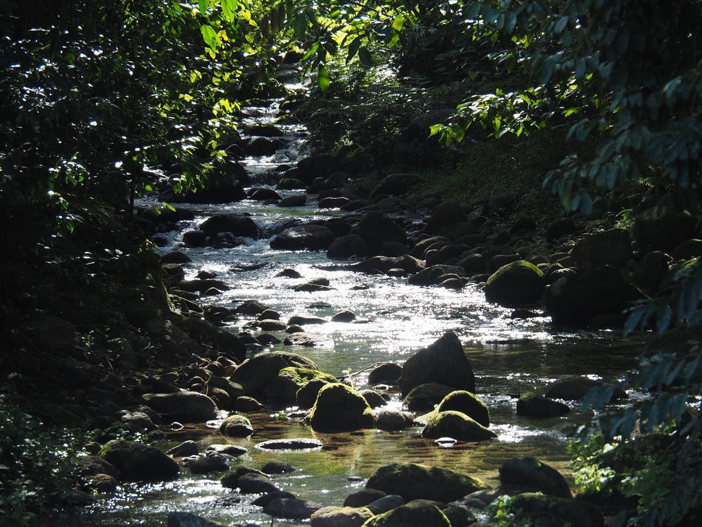 Babinda Quarters Hotel Luaran gambar